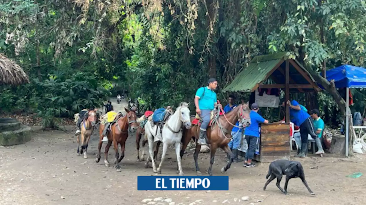 Chengue, la playa del Tayrona convertida en un mar de basuras