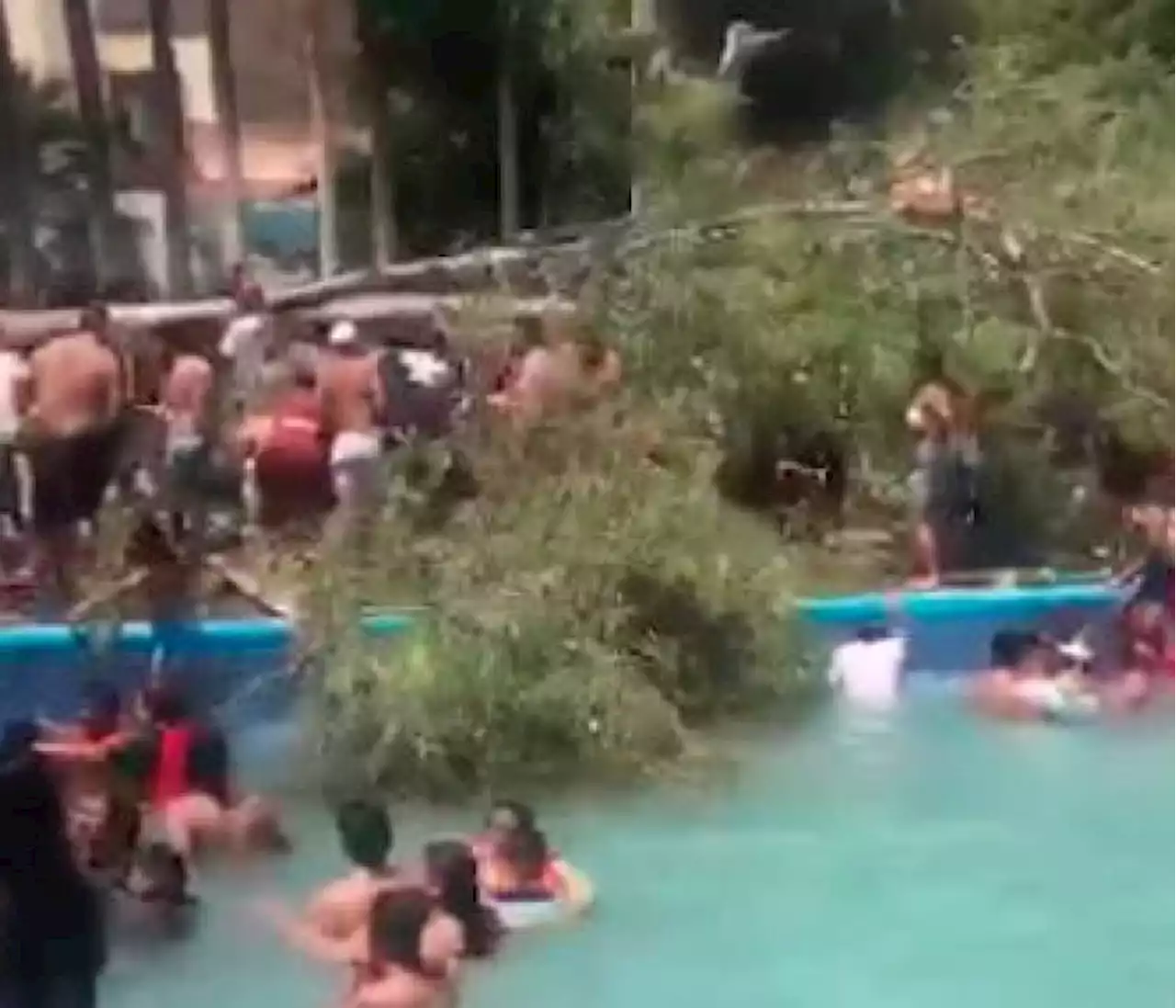 Video: árbol de 15 metros cayó sobre balneario; bebé de 11 meses murió