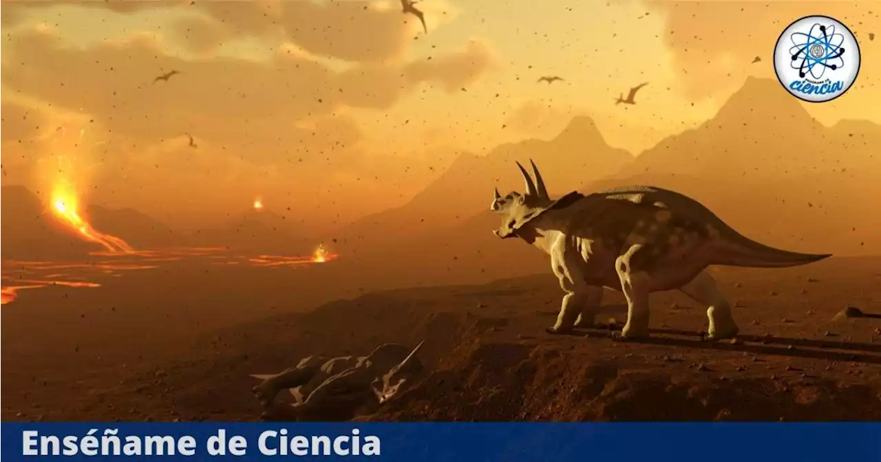 Hemos entrado a la séptima extinción masiva de la Tierra, según un estudio