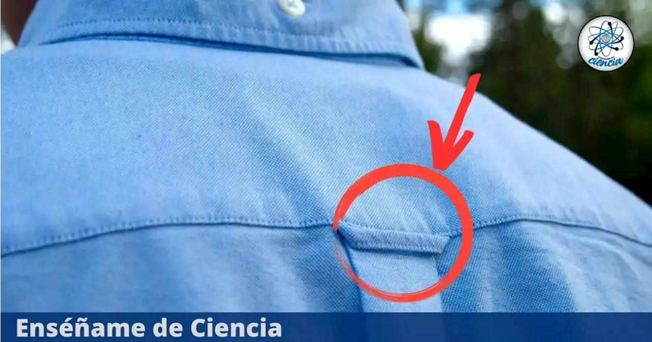 Para qué sirve realmente el gancho que tienen las camisas en la parte de atrás