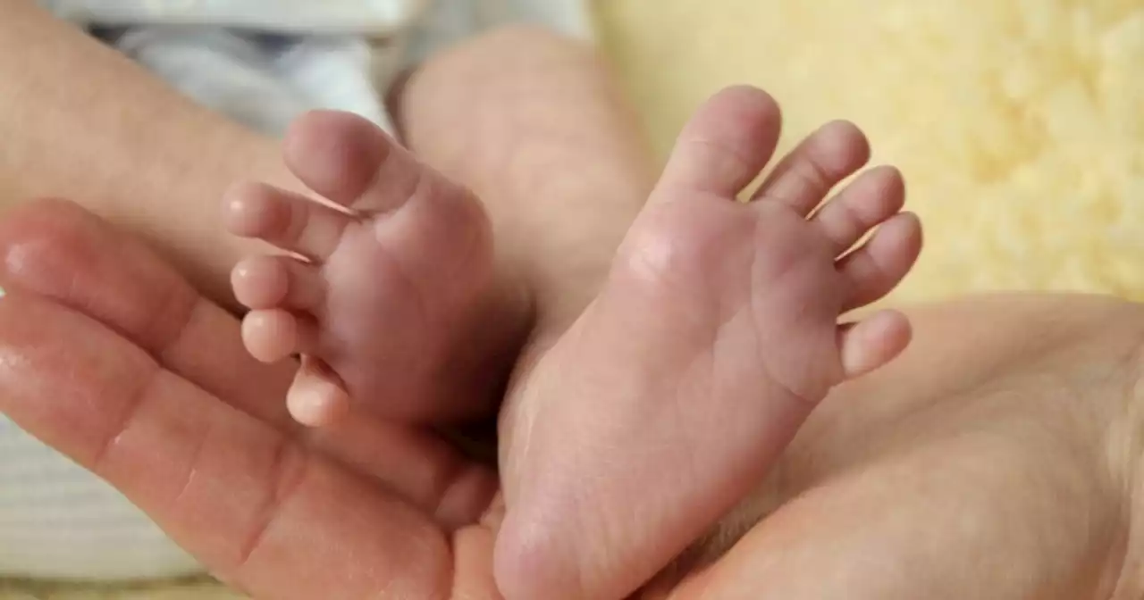 Novara, coppia abbandona in Ucraina bimba nata con utero in affitto: rinviato a giudizio solo il padre biologico - Il Fatto Quotidiano