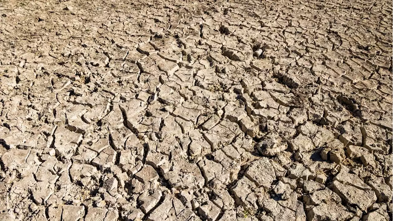 Sécheresse : malgré des précipitations importantes en mars, les sols restent secs, notamment sur le pourtour méditerranéen