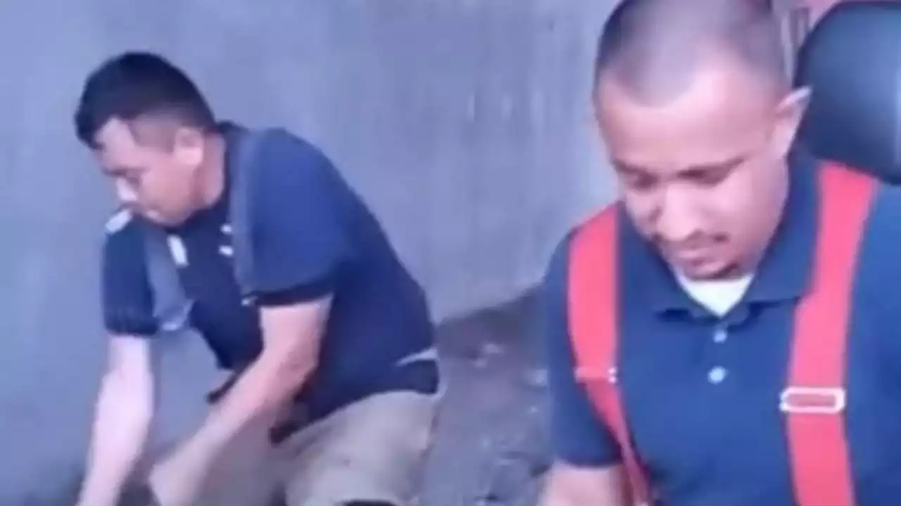 Shock en Monclova: exhiben a bomberos torturando y asesinando a perritos callejeros