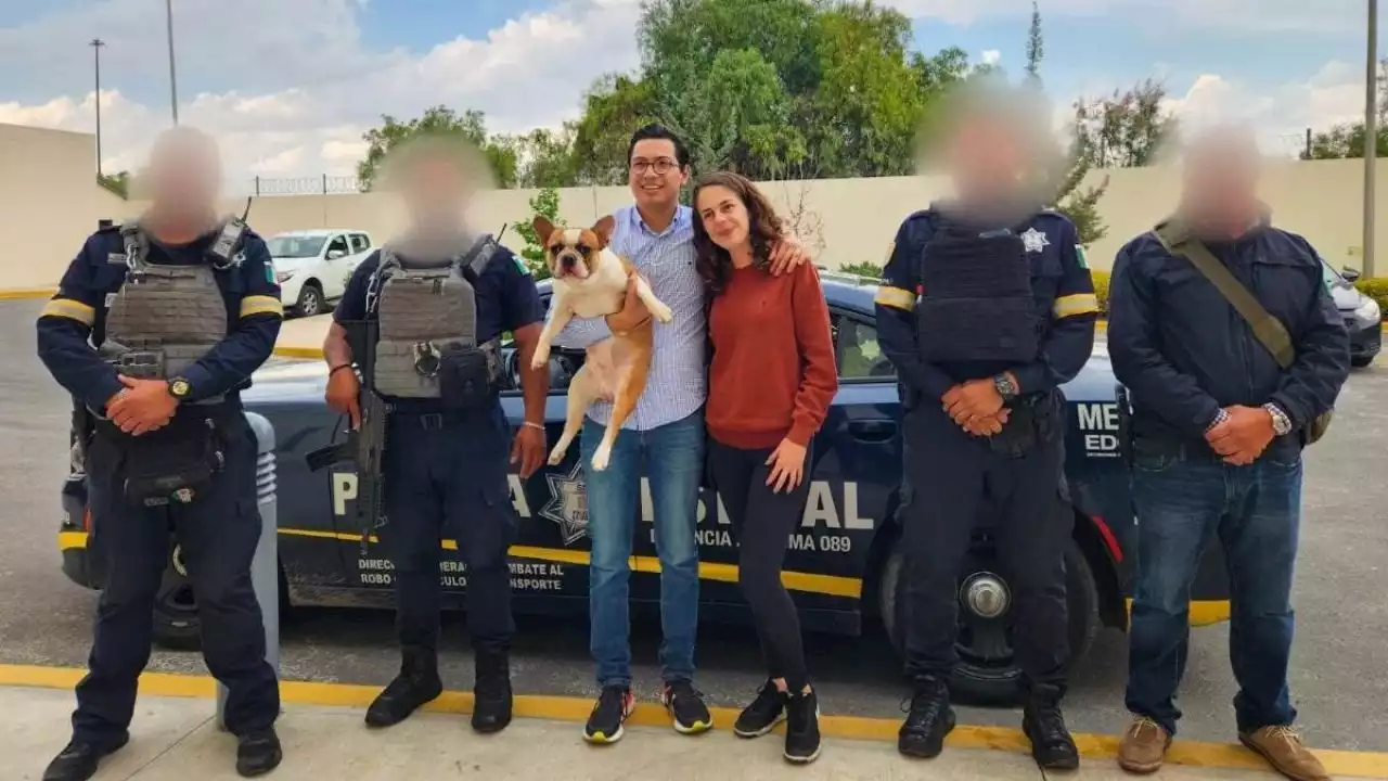 VIDEO | Rescataron al perrito Frank, así fue el conmovedor reencuentro con su dueña