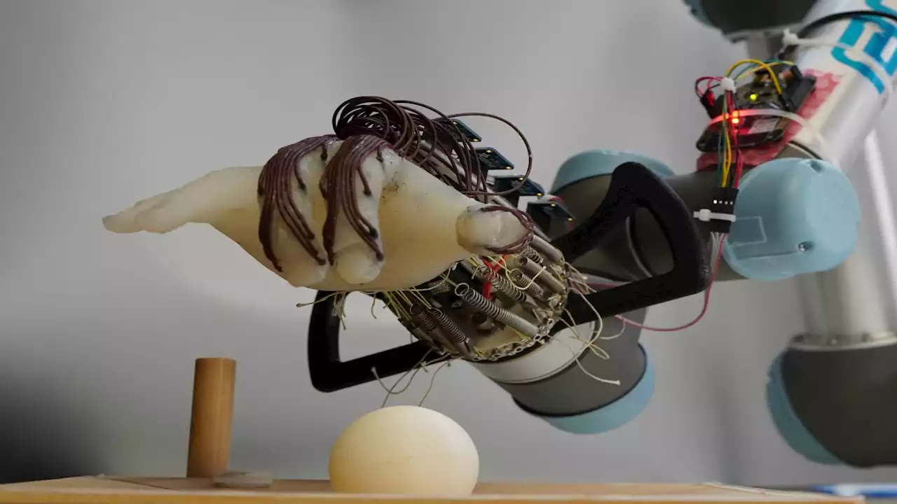 Low-cost, energy-efficient robotic hand could help us grasp the future