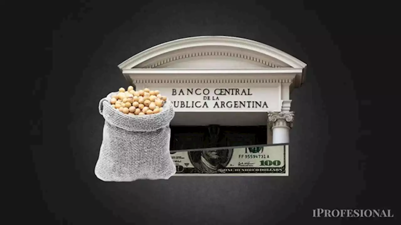 Dólar agro: una noticia positiva y dos negativas