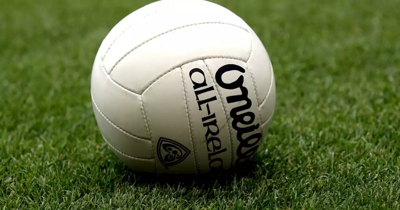Leinster U20FC quarter-finals: Kildare and Meath book last four places