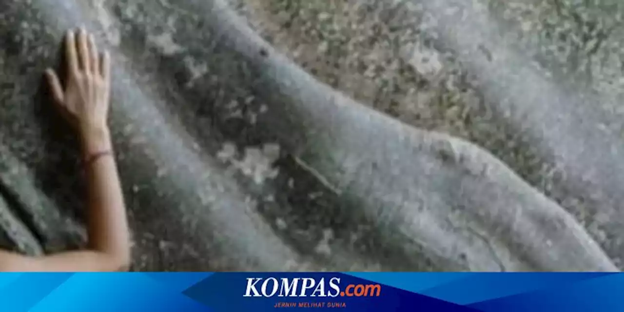 Viral Foto WNA Berpose Telanjang di Pohon Sakral Pura Babakan Bali