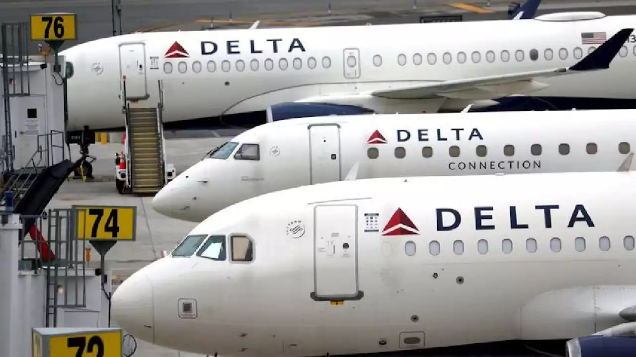 Delta bets on premium travel as 'shock absorber' for economic downturn