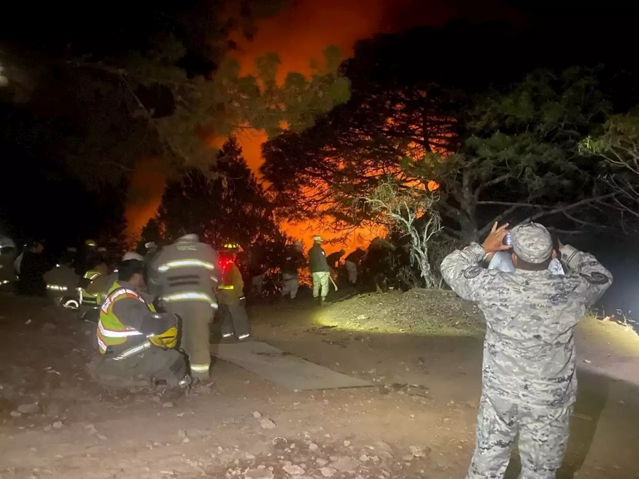 Incendio arrasa casi 80 hectáreas de pino en Sinaloa