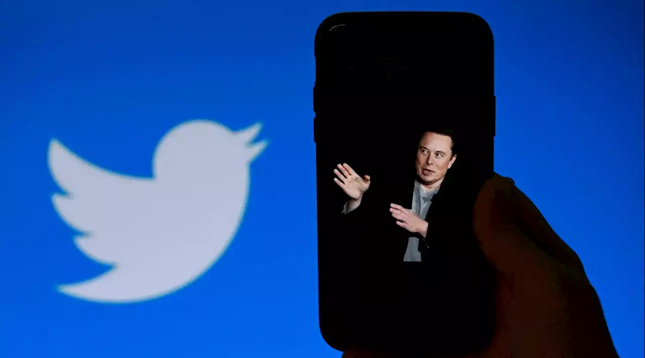 Twitter, Musk: 'Avevamo 8mila dipendenti, ora sono 1.500'