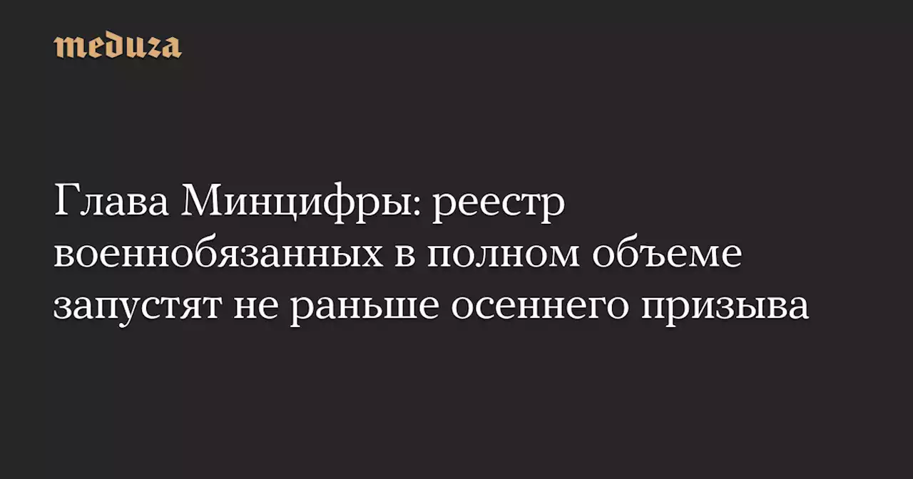 Глава Минцифры: реестр военнобязанных в полном объеме запустят не раньше осеннего призыва — Meduza