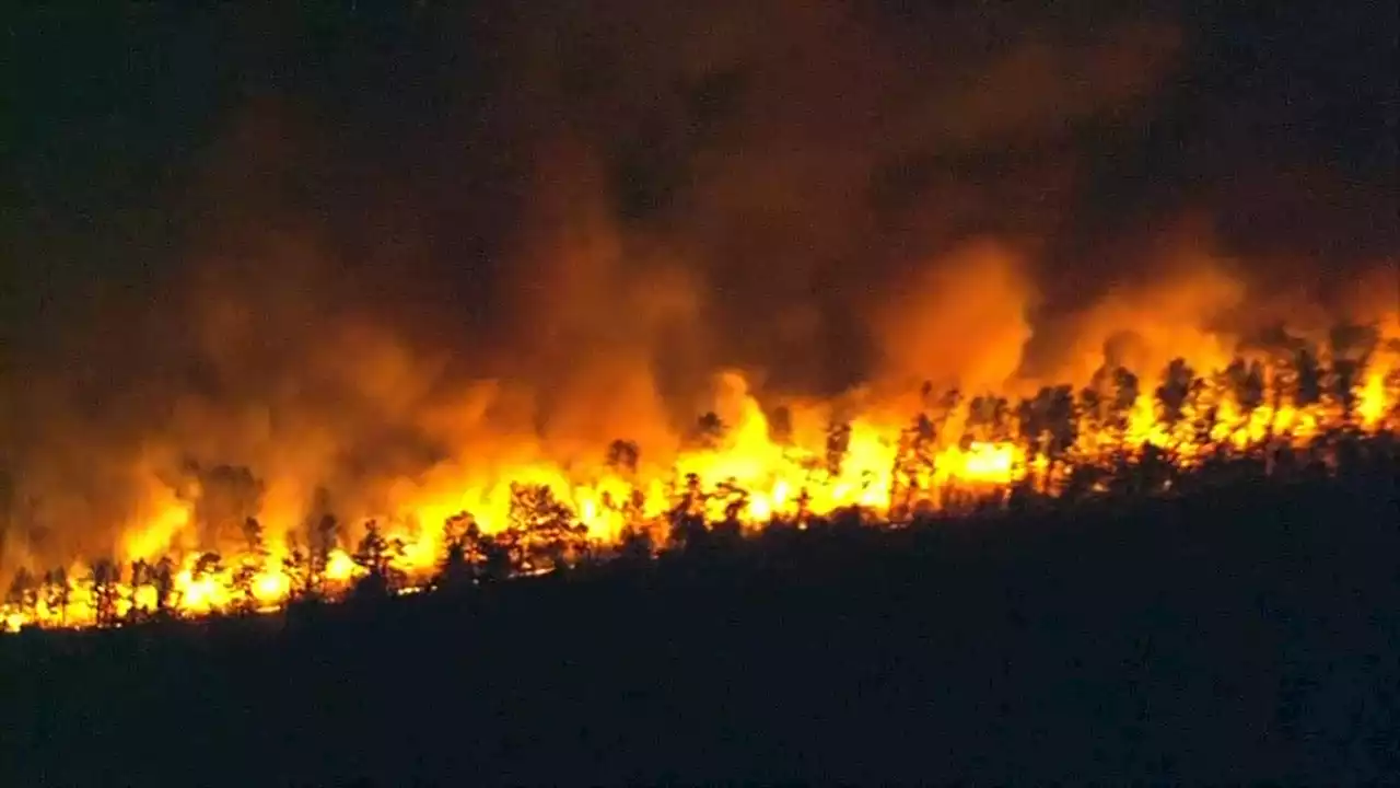 WATCH: Firefighters Battle Massive Forest Fire in Ocean County, NJ