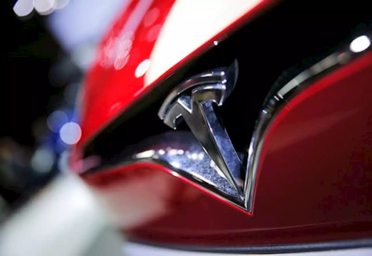 WATCH | Privacy invasion: Tesla sued over workers' alleged access to customers' in-car video imagery | Life