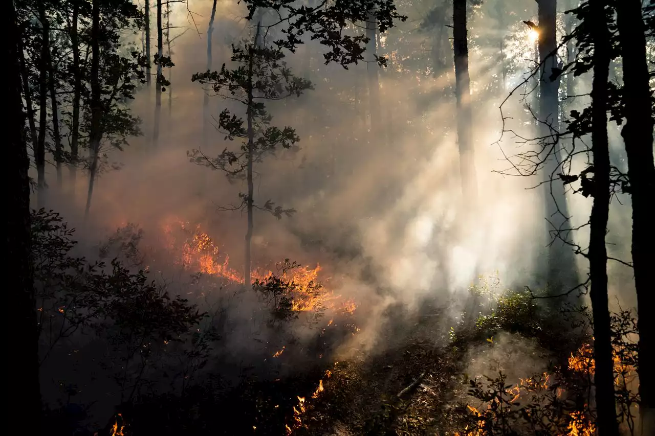 N.J. firefighters work to extinguish contained brush fires in Monmouth, Ocean counties