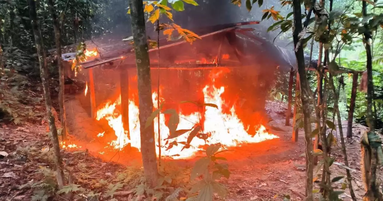 Ejército destruyó seis laboratorios para el procesamiento de coca en Valdivia, Antioquia