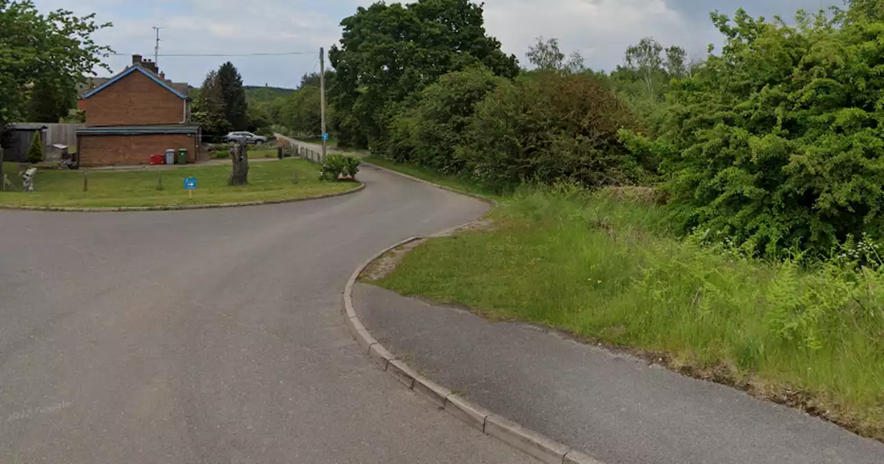 Notts girl assaulted during 'horrific attack' at skate park