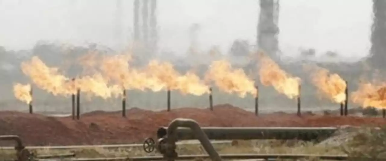 Iraq Must Diversify Despite Strong Oil Revenues | OilPrice.com