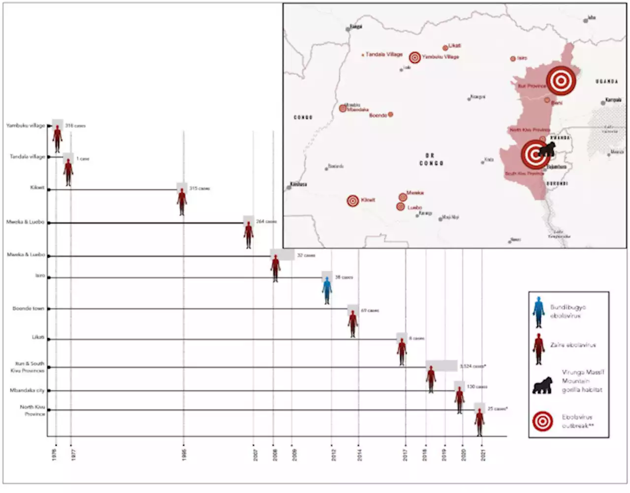 Projecting the impact of an ebola virus outbreak on endangered mountain gorillas - Scientific Reports