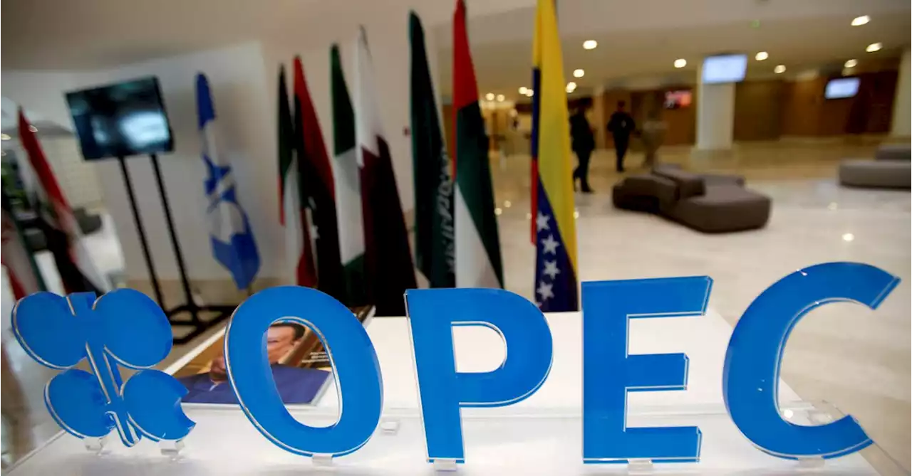 OPEC's share of oil production growth to shrink this year -EIA