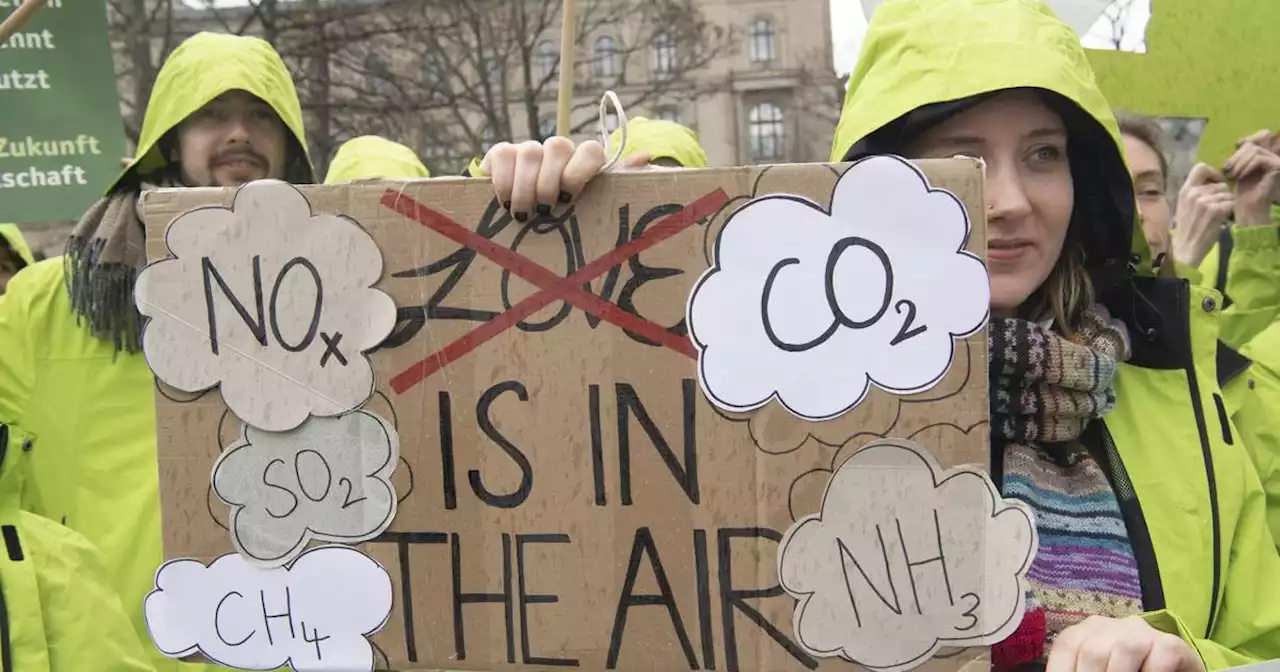 Streit unter Klimaaktivisten: Fridays for Future kritisiert Letzte Generation