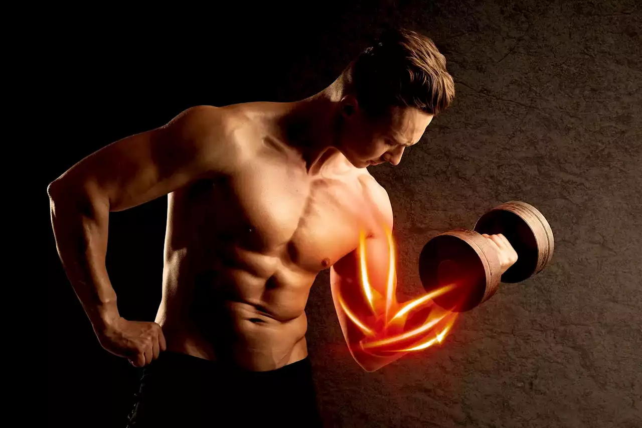 Flex Your Artificial Muscles: The New Low-Voltage Breakthrough