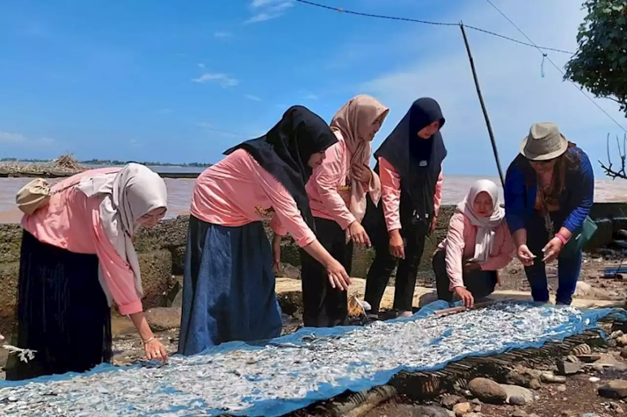 Tingkatkan Kualitas, Warga Jepara Pelatihan Pengolahan Ikan Asin