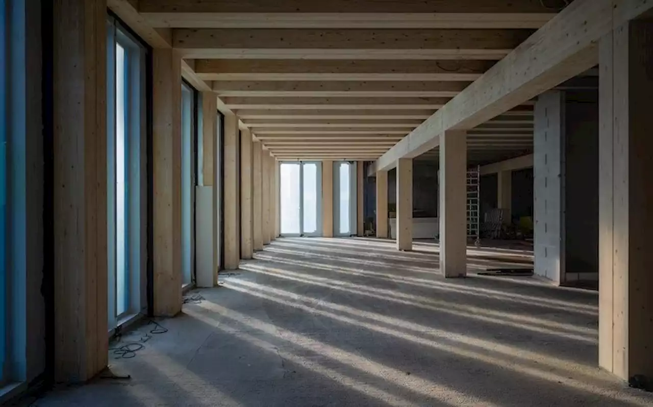 This Construction Company Makes Strides with Mass Timber