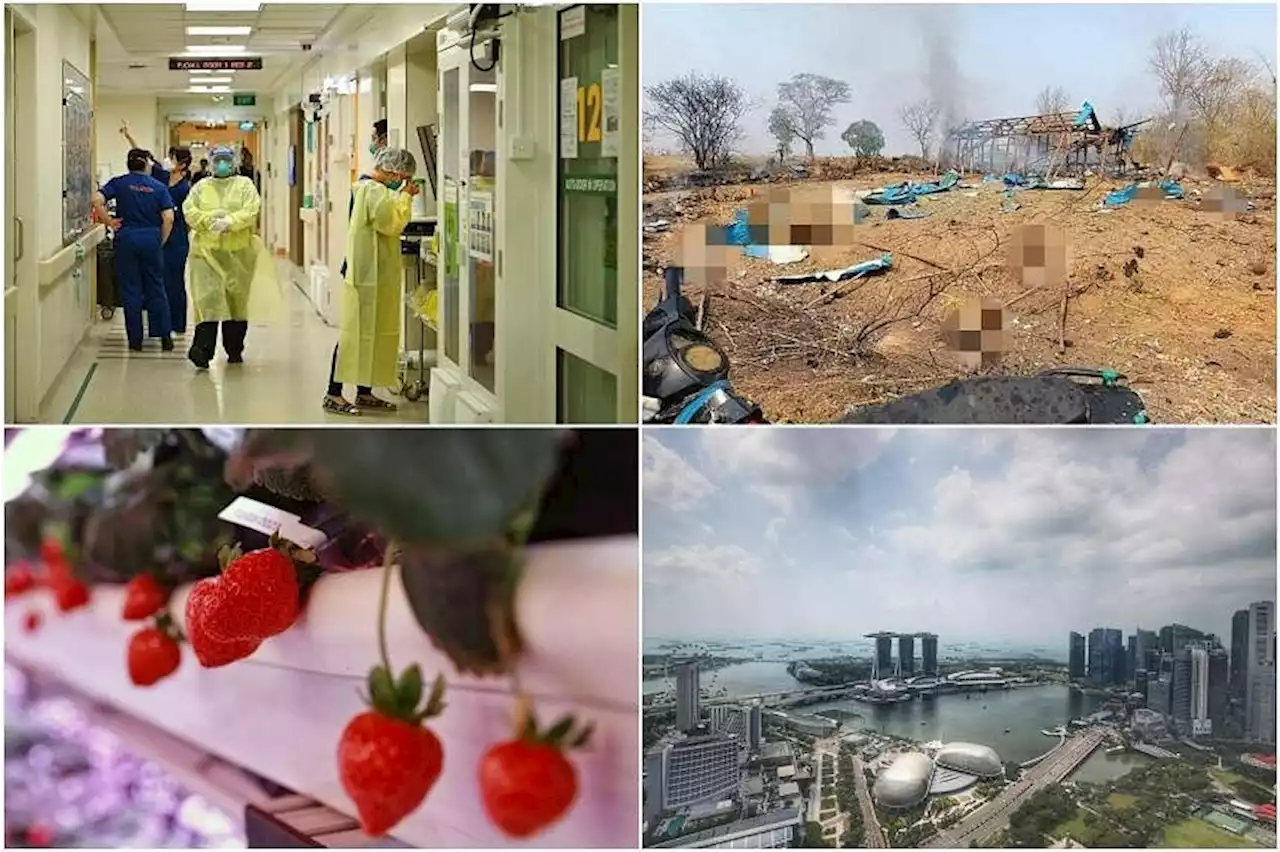 Morning Briefing: Top stories from The Straits Times on April 12