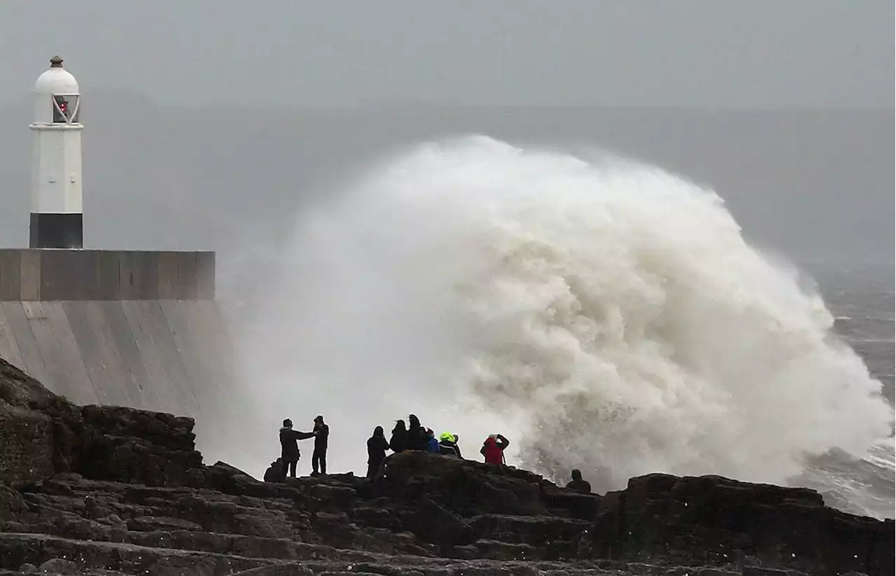 Tempête Noa : trois départements du Nord placés en vigilance orange vents violents