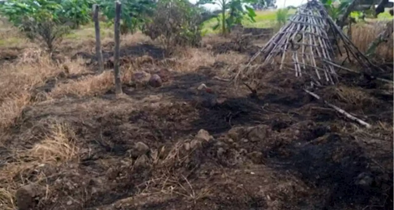 Rethinking the land use act for improved outcome | TheCable