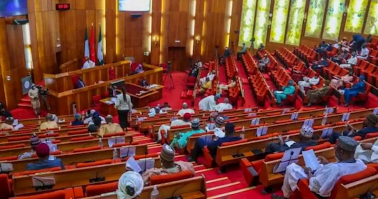 After state police, nothing else left to demonise Nigeria's constitution with | TheCable