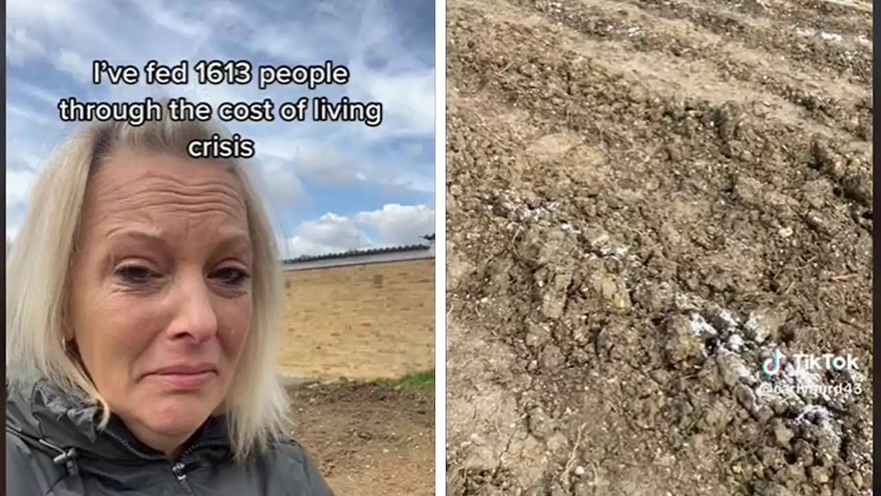 Woman growing food for hundreds of struggling families has garden allotment ruined by vandals