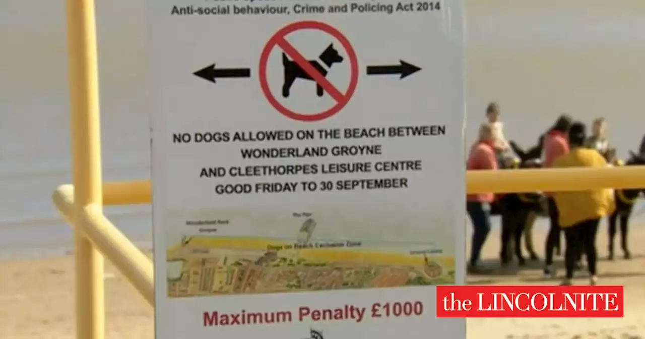 Debate over dog walking ban on Cleethorpes beach