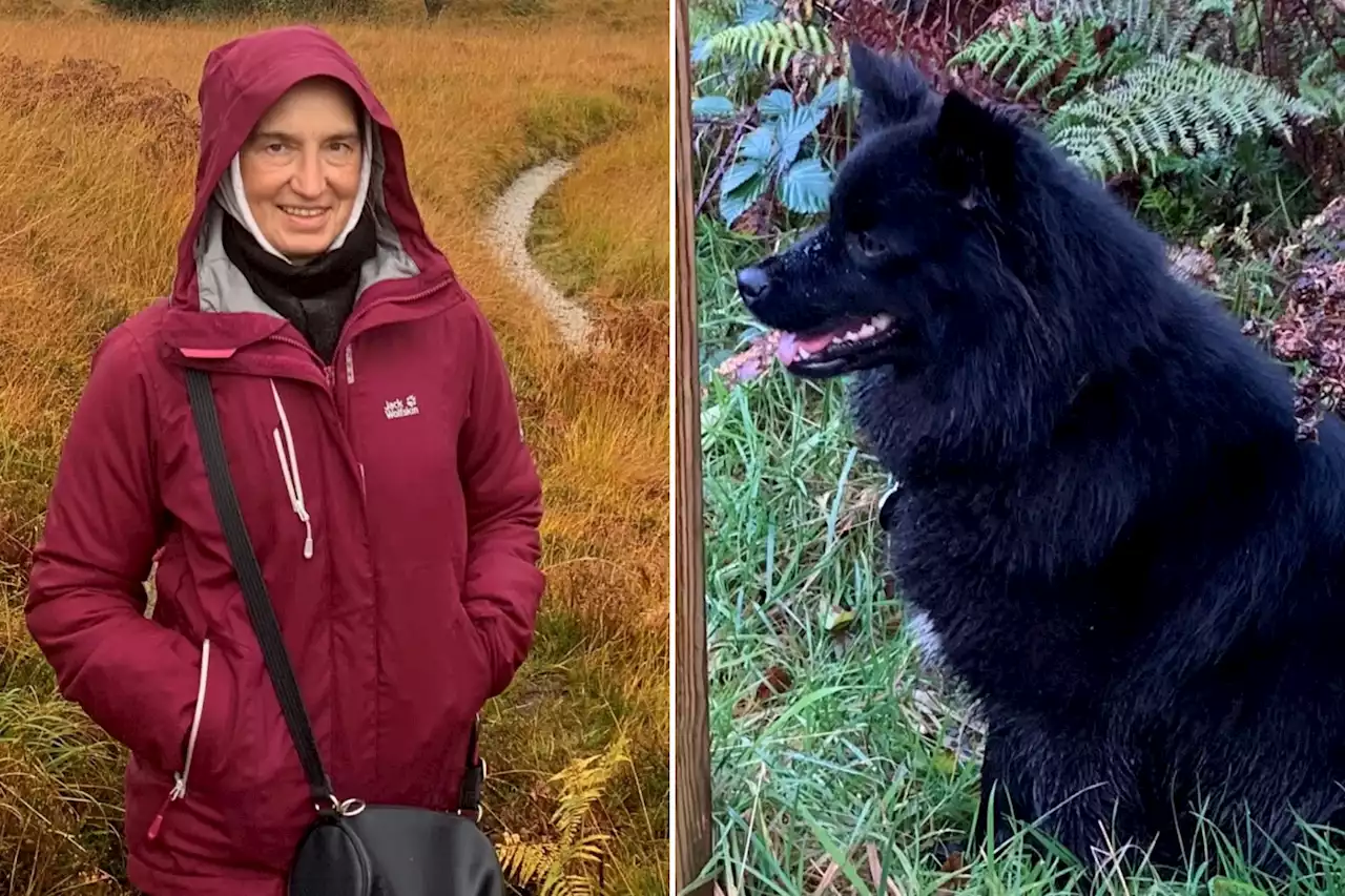 Police reveal clothes missing dog walker was wearing when she vanished