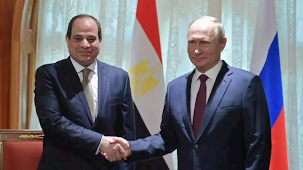 'No indication' Egypt is giving lethal weapons to Russia against Ukraine