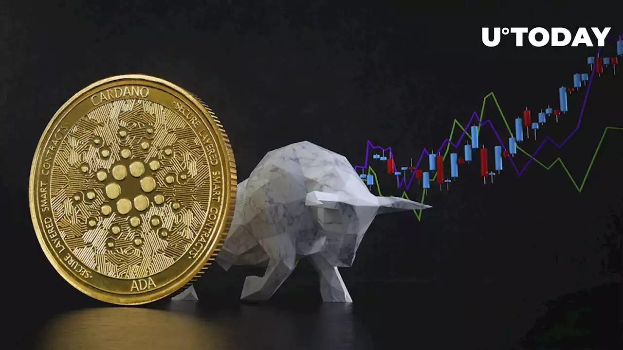 ADA Whale Predicts Cardano Bull Run, Here's Timing and Likely Trigger