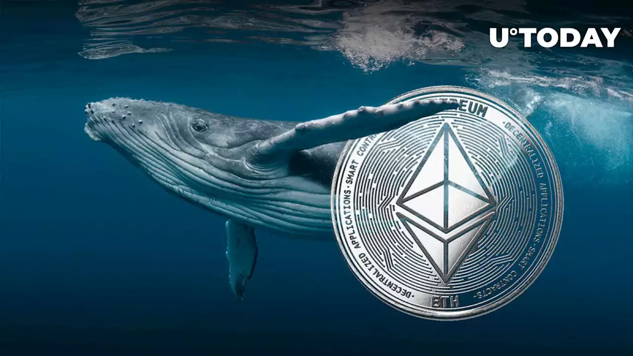 Here's What Ethereum (ETH) Whales Are Doing Hours Ahead Shanghai Update