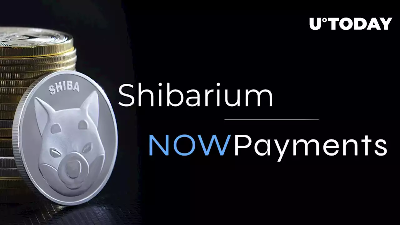 Shibarium and NOWPayments Join Forces: Shiba Inu (SHIB) Lead Approves