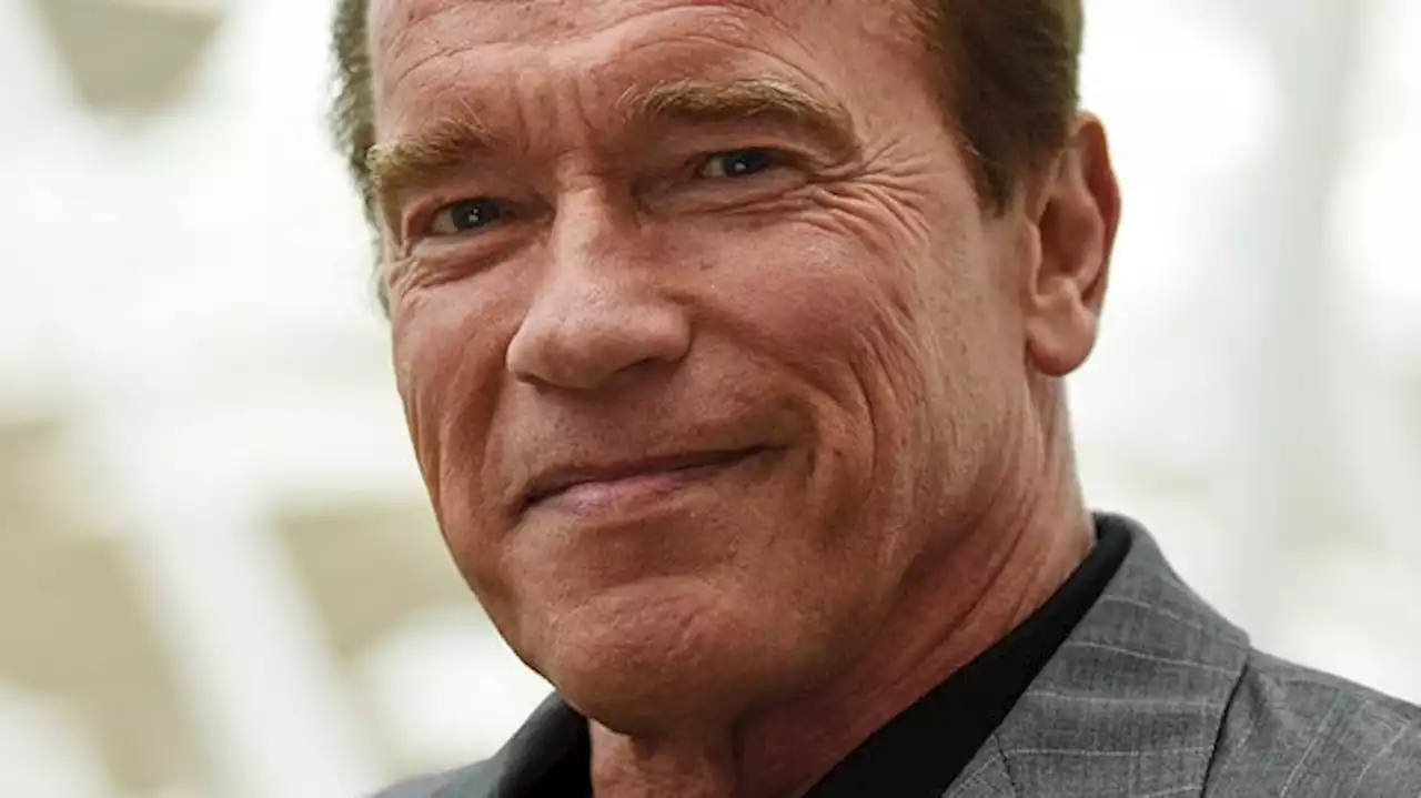 Arnold Schwarzenegger comble lui-même les nids de poule dans les rues de Los Angeles