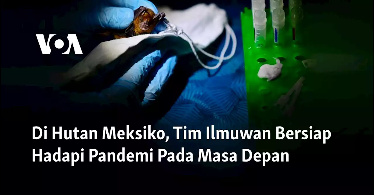 Di Hutan Meksiko, Tim Ilmuwan Bersiap Hadapi Pandemi Pada Masa Depan