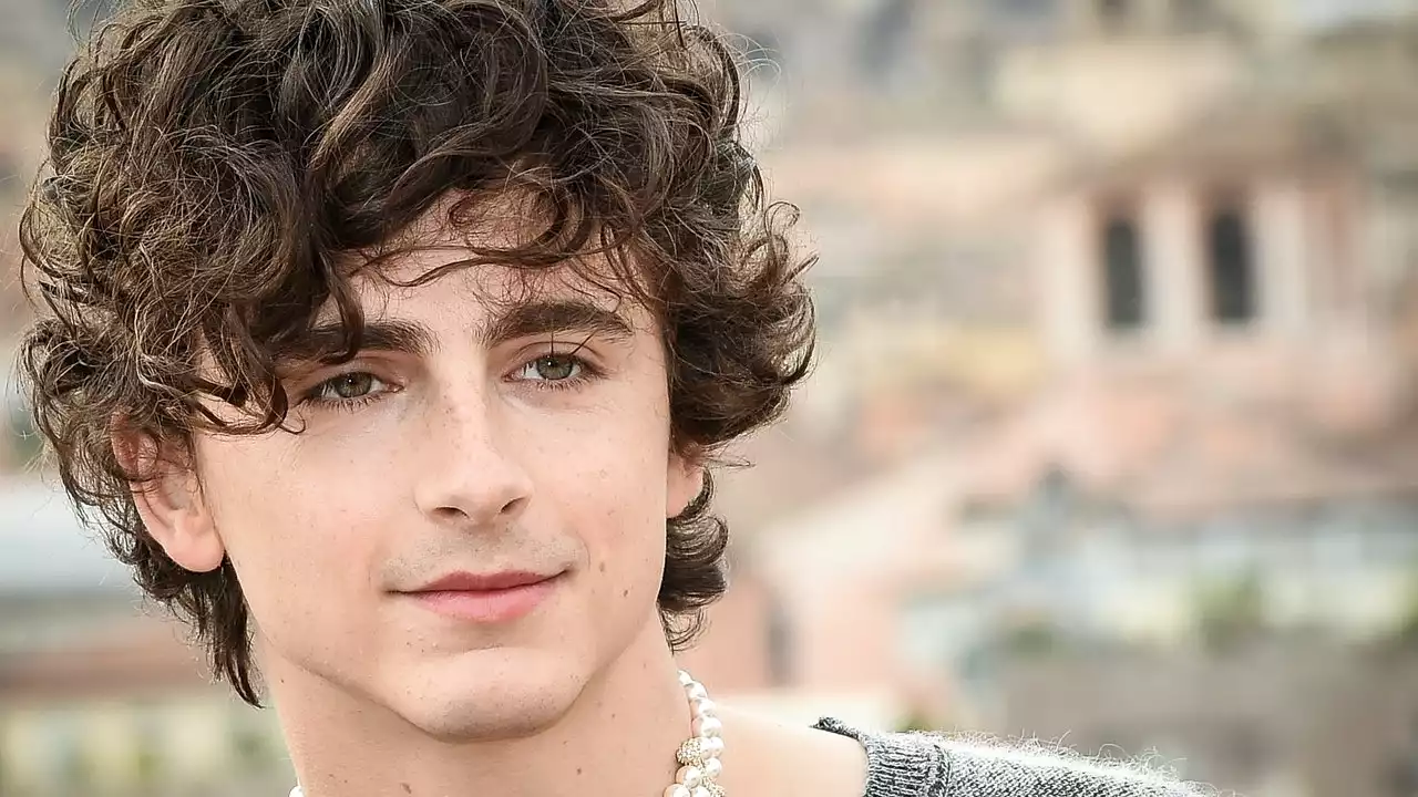 Timothée Chalamet va chanter au cinéma dans la peau de Bob Dylan