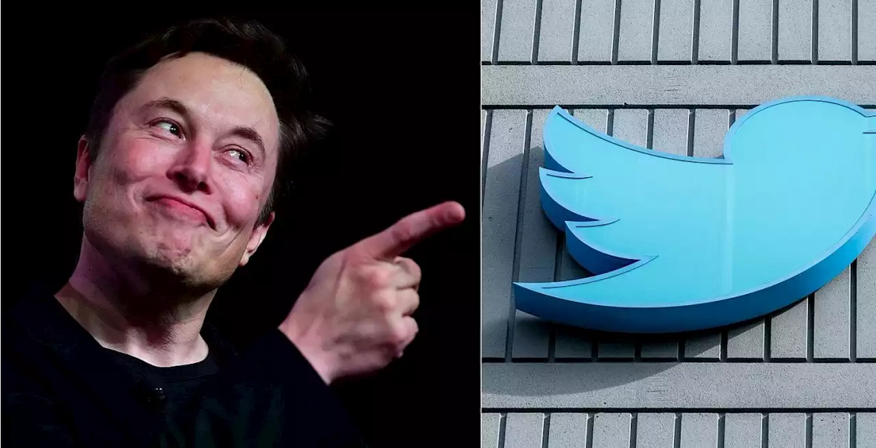 Kündigungswelle - Musk: Twitter-Belegschaft von 8.000 auf 1.500 geschrumpft