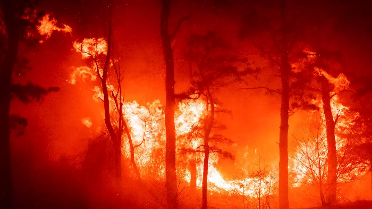 Big flames, raining embers in New Jersey pine barrens fire