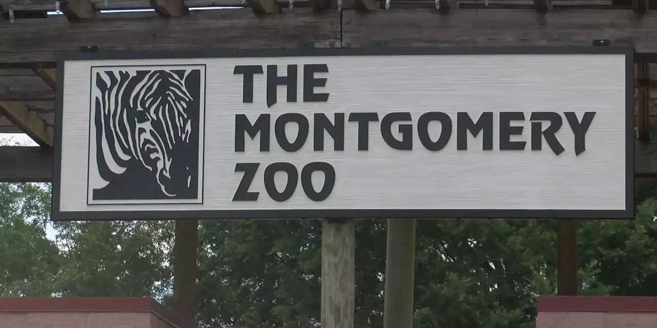 Montgomery Zoo hosting Animal Enrichment Day Saturday