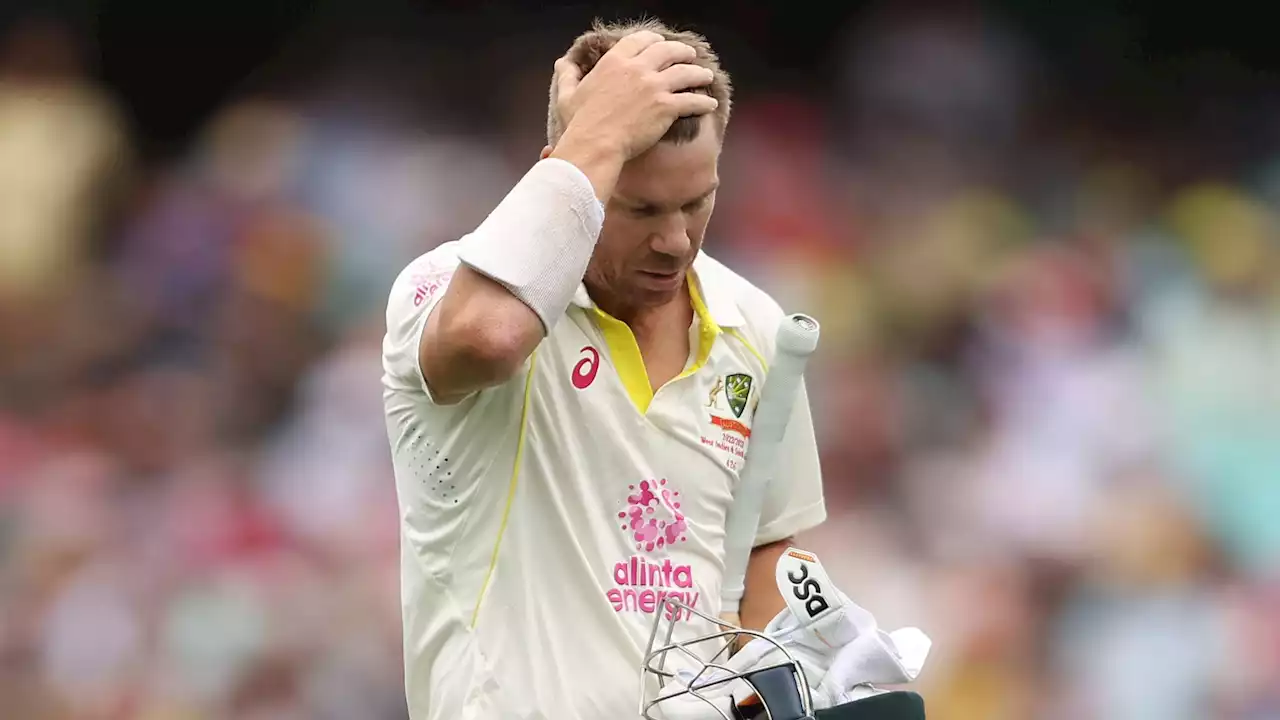 Aussie star puts blowtorch on Warner for Ashes
