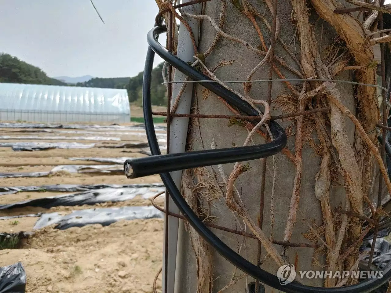 [강릉산불] 또 '전선 단선'이 원인…민형사상 책임 갈등 예상 | 연합뉴스