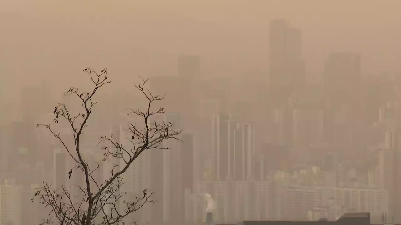 최악 황사 공습에 전국 '미세먼지 경보'...내일까지 고농도