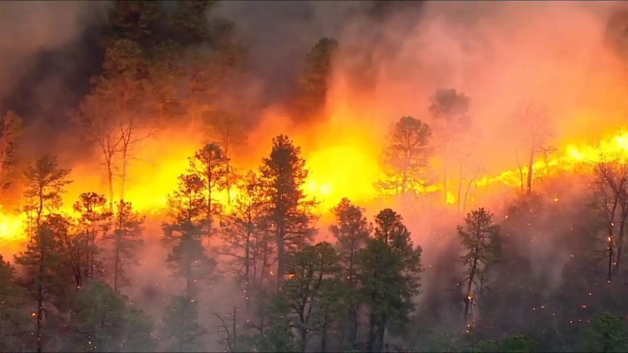 3,859-acre wildfire in Manchester Township, New Jersey is now 100% contained