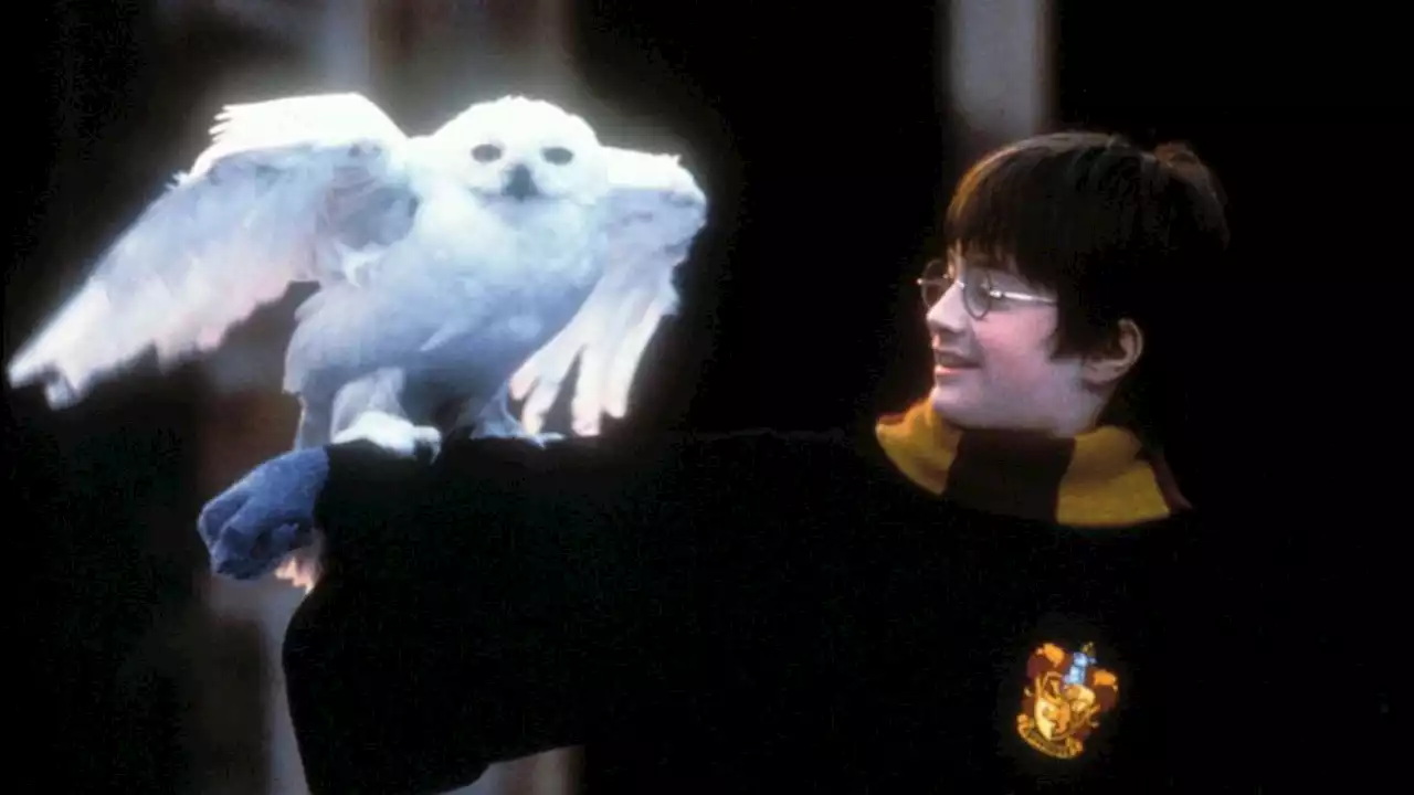 'Harry Potter' TV series based on book series announced